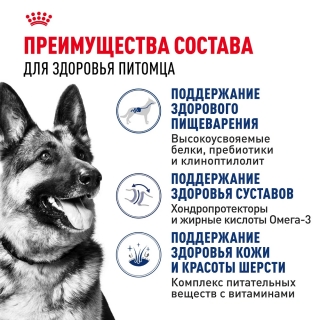 Корм для собак Royal Canin Maxi Adult (для взрослых собак крупных пород с 15 месяцев до 5 лет)