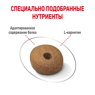Корм для собак Royal Canin Medium Light Weight Care (склонных к набору веса)