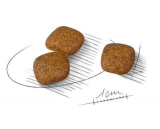 Корм для собак Royal Canin Mini Urinary Care (Роял Канин профилактика заболеваний мочеполовой системы для собак мелких пород)