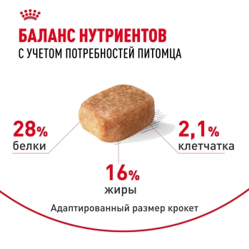 Корм для собак Royal Canin Chihuahua Adult (Роял канин для чихуахуа, взрослые)
