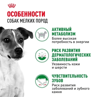Корм для собак Royal Canin Mini Adult (для взрослых собак от 10 месяцев до 8 лет)