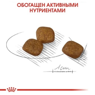 Корм для собак Royal Canin Mini Coat Care (для взрослых собак с тусклой и сухой шерстью)