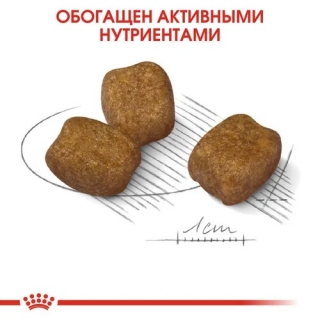Корм для собак Royal Canin Mini Dental Care (для собак с повышенной чувствительностью зубов)